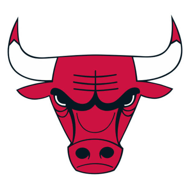 Chicago Bulls logo